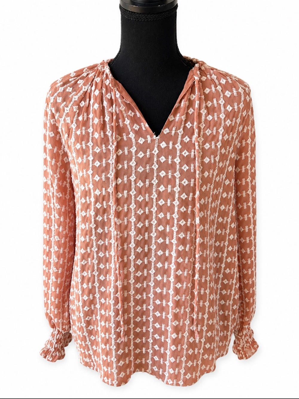 Walter Baker Peach Embroidered Sheer Tie Neck Boho Blouse S